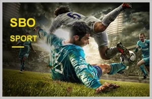 JUANBINGO live sports streaming and betting features